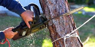 Best Emergency Tree Removal  in Fredericktown, OH